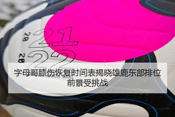 字母哥膝伤恢复时间表揭晓雄鹿东部排位前景受挑战